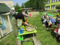 /album/den-zeme/img-6875-jpg/